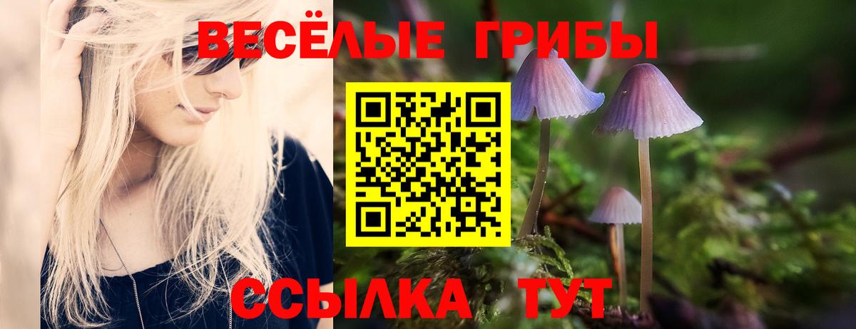 Галлюциногенные грибы GOLDEN TEACHER  Вход с VPN  Галлюциногенные грибы Cubensis  Кыштым 